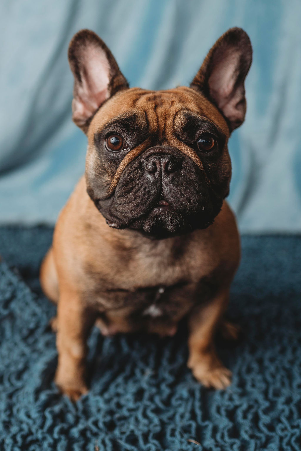 BB