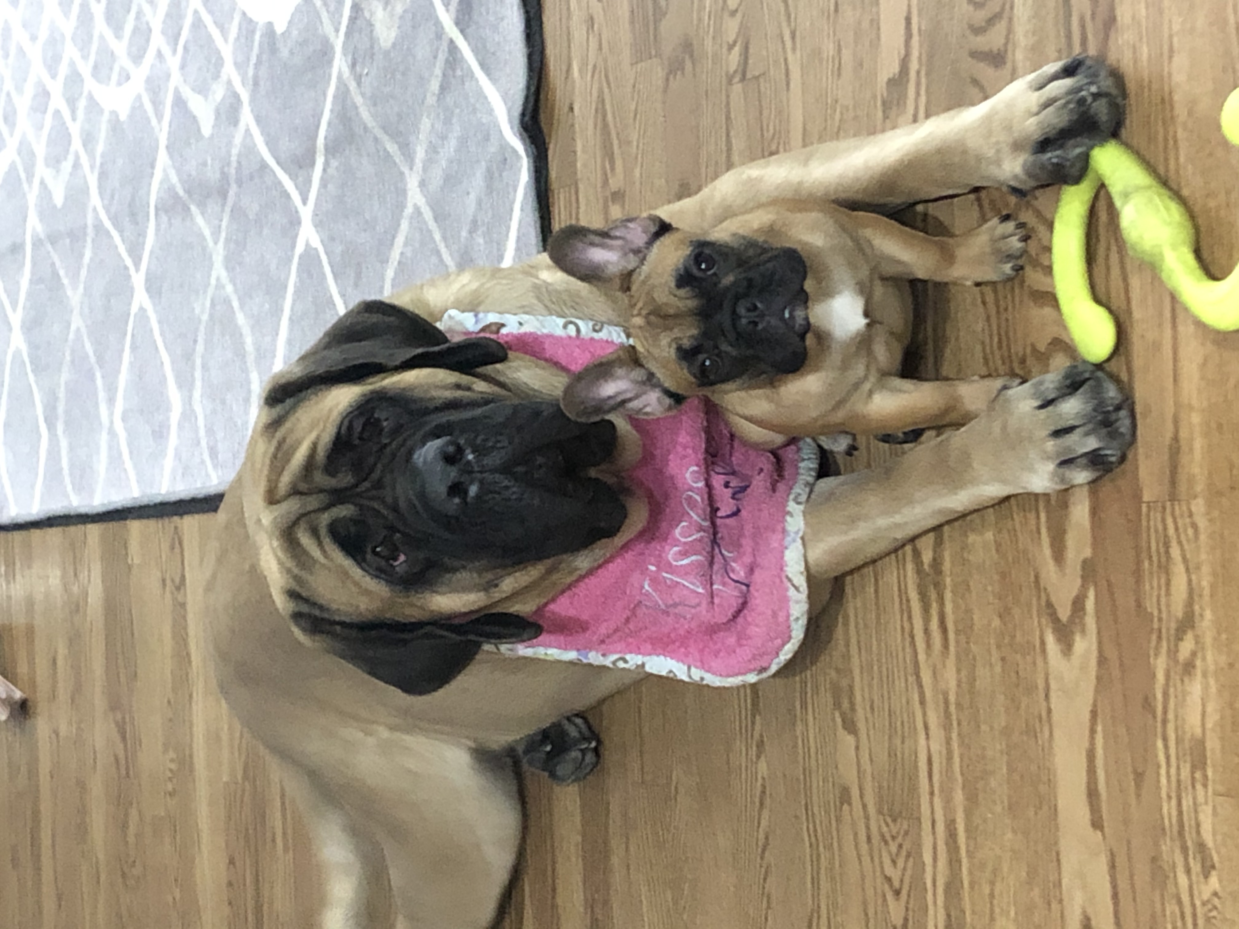 Charli with Chloe