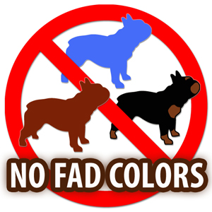 No Fad Colors